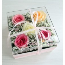 Splendeur Box: Colorful Clarity